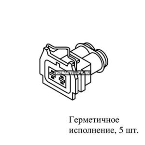 ������ 2-� ����������, ���������