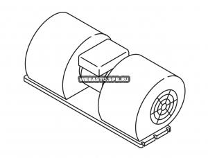 ���������� ������������ 12V (����������) 