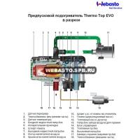 ����� ���������� webasto thermo top evo 5 ������
